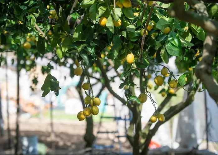 Alba D'amalfi - The Dawn One Step From The Heaven Daire Amalfi