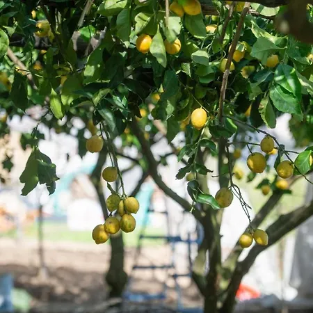 Alba D'amalfi - The Dawn One Step From The Heaven Appartement Amalfi
